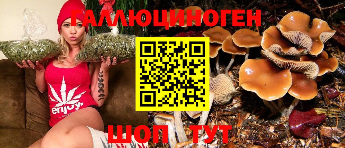 Галлюциногенные грибы Psilocybe Белая Калитва