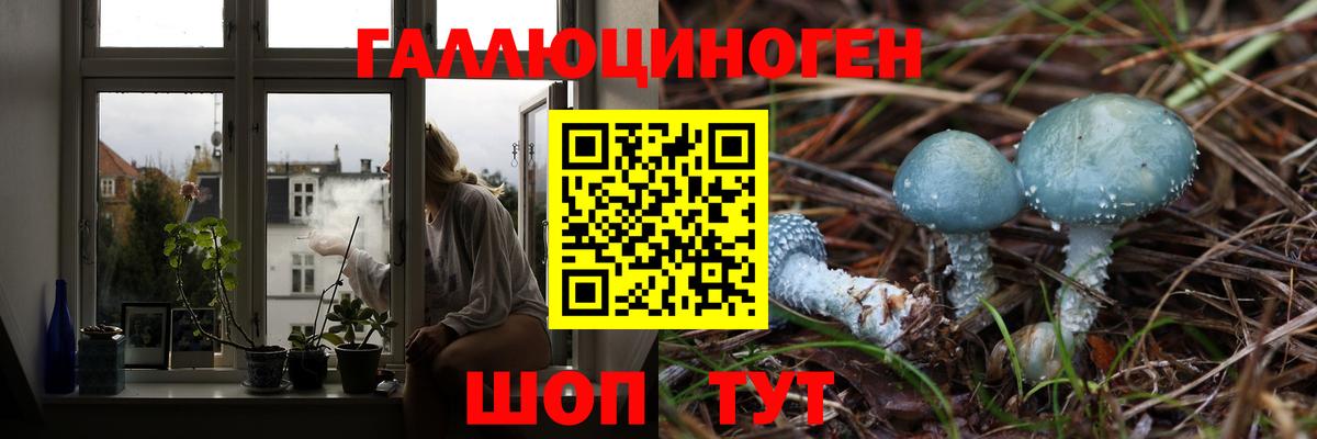 Белая Калитва  Псилоцибиновые грибы прущие грибы  Вход с VPN 